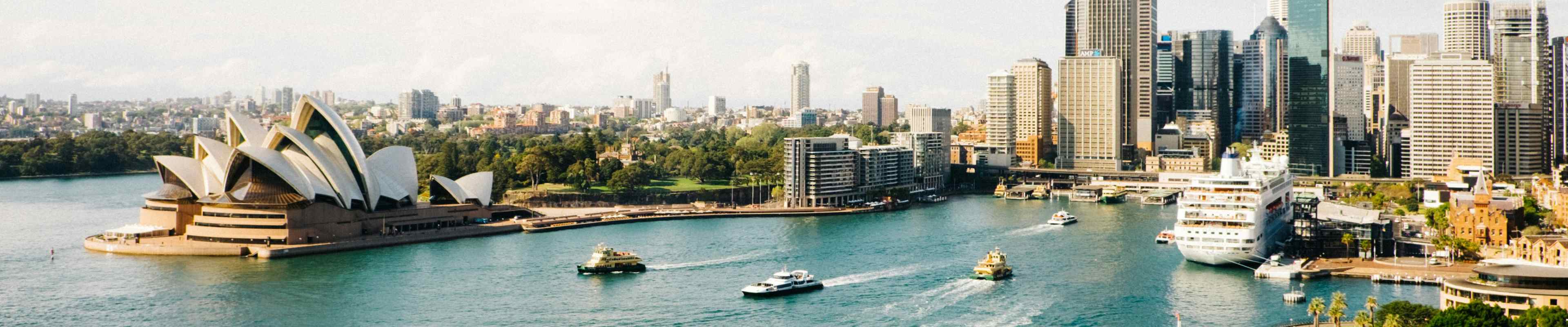 Sydney opera house and harbour during daytime