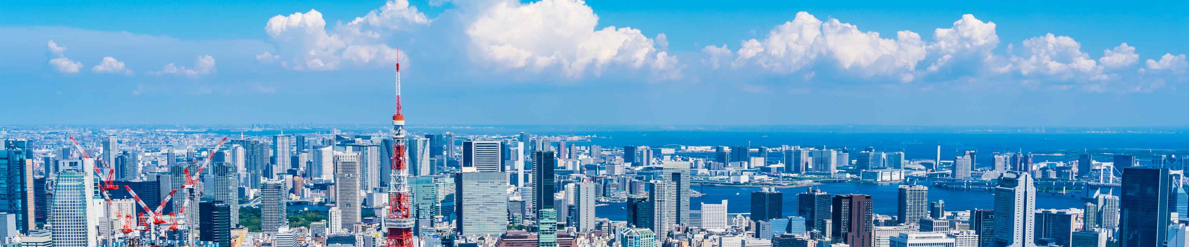 Summer Landscape in Tokyo, Japan